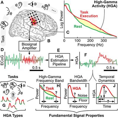 Characterization of High-Gamma Activity in Electrocorticographic Signals